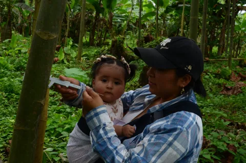 Práctica de fortalecimiento agroecológico en la parroquia Chaucha (foto 2)