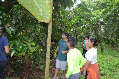 Práctica agroecológica en Galápagos con la Fundación FUNCAVID (foto 7)