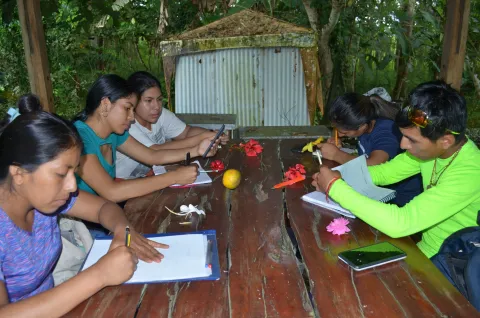 Práctica agroecológica en Galápagos con la Fundación FUNCAVID (foto 8)
