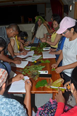 Práctica de organografía vegetal en la Isla Isabela (foto 2)