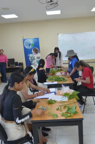 Práctica de organografía vegetal en la Isla Isabela (foto 1)