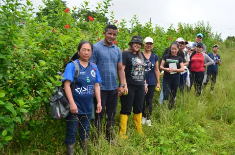 Práctica de organografía vegetal en la Isla Isabela (foto 4)