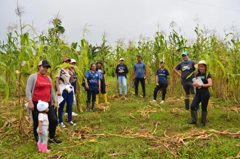 Práctica de organografía vegetal en la Isla Isabela (foto 5)