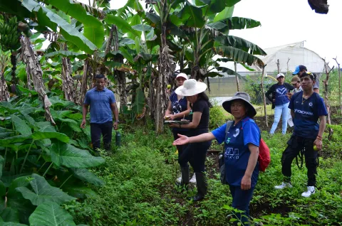 Práctica de organografía vegetal en la Isla Isabela (foto 3)