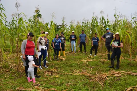 Prácticas de organografía vegetal en la Isla Isabela (foto 1)
