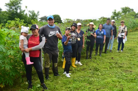Prácticas de organografía vegetal en la Isla Isabela (foto 2)