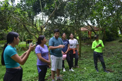 Prácticas de organografía vegetal en la Isla Santa Cruz (foto 1)
