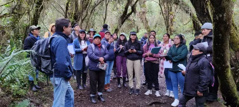 Estudio fitosociológico del Bosque Protector Aguarongo (foto 1)
